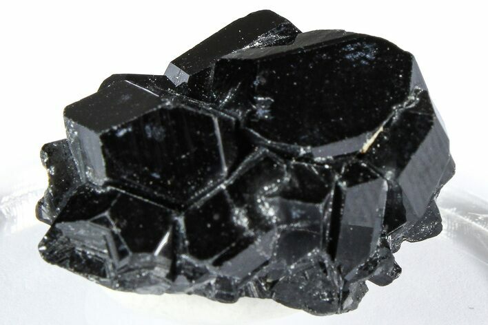 Lustrous Black Tourmaline (Schorl) Crystal Cluster - Namibia #361655